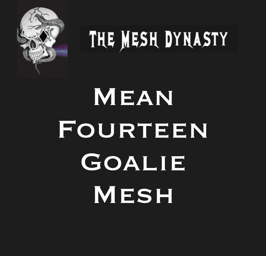 Mean Fourteen Goalie Mesh The Mesh Dynasty